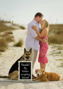 Kissing couple on the beach with dogs
